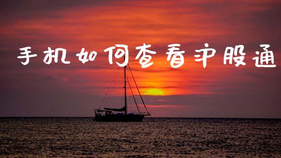 手机如何查看沪股通_https://cj002.lansai.wang_财经问答_第1张