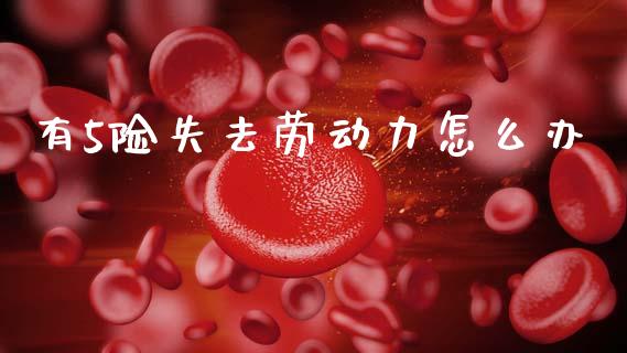 有5险失去劳动力怎么办_https://cj002.lansai.wang_保险问答_第1张
