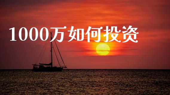 1000万如何投资_https://cj002.lansai.wang_期货问答_第1张
