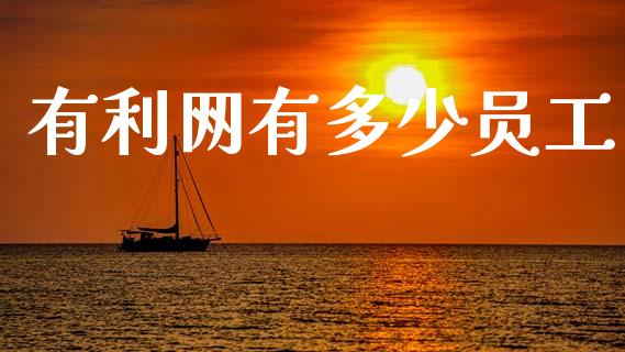 有利网有多少员工_https://cj002.lansai.wang_金融问答_第1张