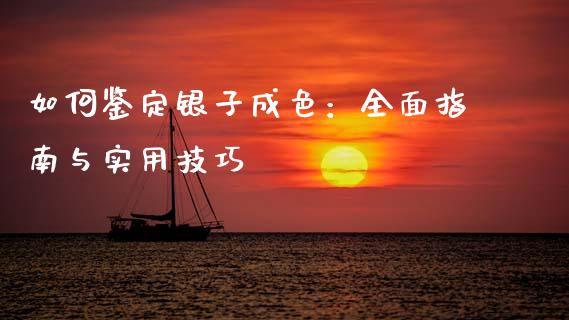 如何鉴定银子成色：全面指南与实用技巧_https://cj002.lansai.wang_理财问答_第1张