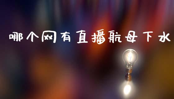 哪个网有直播航母下水_https://cj002.lansai.wang_股市问答_第1张