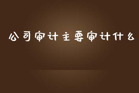 公司审计主要审计什么_https://cj002.lansai.wang_会计问答_第1张