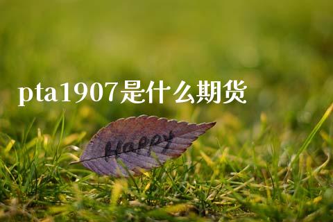 pta1907是什么期货_https://cj002.lansai.wang_期货问答_第1张