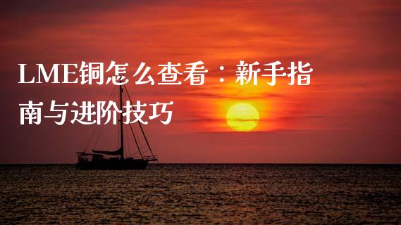 LME铜怎么查看：新手指南与进阶技巧_https://cj002.lansai.wang_财经百问_第1张