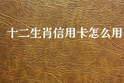 十二生肖信用卡怎么用_https://cj002.lansai.wang_金融问答_第1张