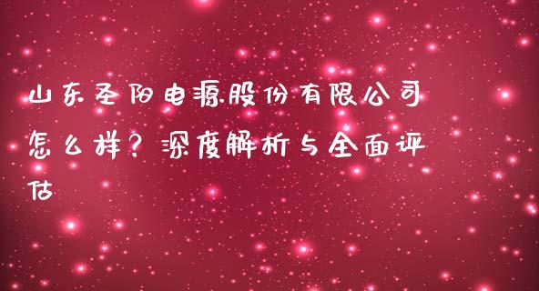 山东圣阳电源股份有限公司怎么样？深度解析与全面评估_https://cj002.lansai.wang_会计问答_第1张