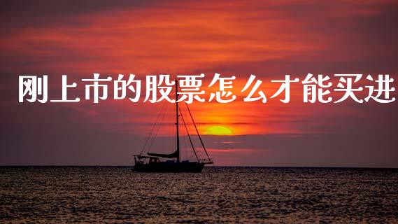 刚上市的股票怎么才能买进_https://cj002.lansai.wang_会计问答_第1张