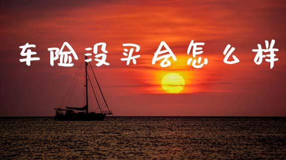 车险没买会怎么样_https://cj002.lansai.wang_保险问答_第1张