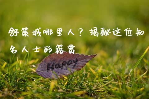 舒策城哪里人？揭秘这位知名人士的籍贯_https://cj002.lansai.wang_期货问答_第1张