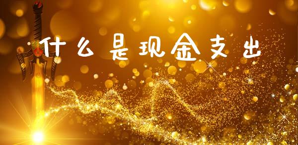什么是现金支出_https://cj002.lansai.wang_会计问答_第1张