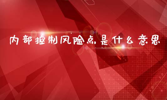 内部控制风险点是什么意思_https://cj002.lansai.wang_会计问答_第1张