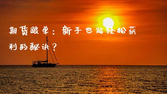 期货跟单：新手也能轻松获利的秘诀？_https://cj002.lansai.wang_财经问答_第1张