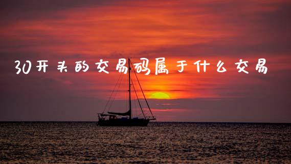 30开头的交易码属于什么交易_https://cj002.lansai.wang_保险问答_第1张