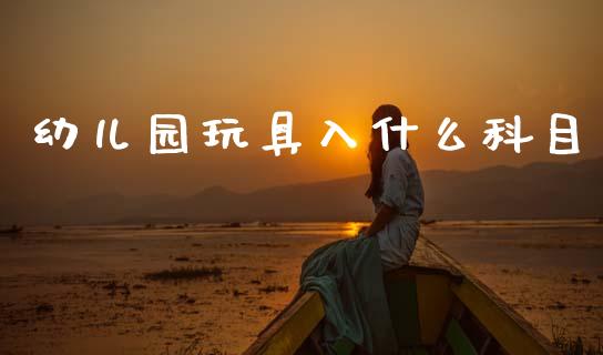 幼儿园玩具入什么科目_https://cj002.lansai.wang_会计问答_第1张
