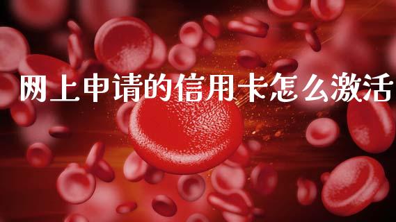 网上申请的信用卡怎么激活_https://cj002.lansai.wang_金融问答_第1张