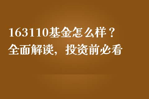 163110基金怎么样？全面解读，投资前必看_https://cj002.lansai.wang_财经百问_第1张