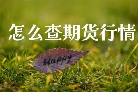 怎么查期货行情_https://cj002.lansai.wang_会计问答_第1张