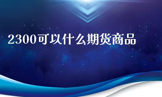 2300可以什么期货商品_https://cj002.lansai.wang_期货问答_第1张