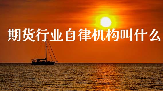 期货行业自律机构叫什么_https://cj002.lansai.wang_期货问答_第1张