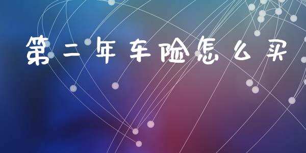 第二年车险怎么买_https://cj002.lansai.wang_保险问答_第1张
