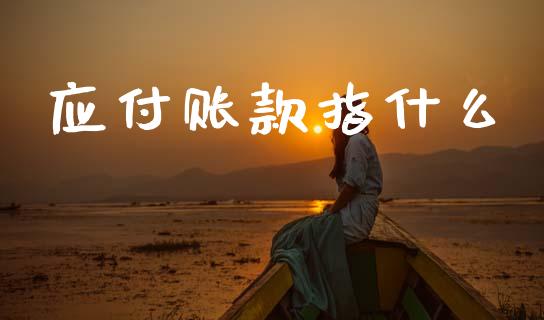 应付账款指什么_https://cj002.lansai.wang_会计问答_第1张