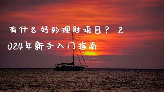 有什么好的理财项目？ 2024年新手入门指南_https://cj002.lansai.wang_理财问答_第1张