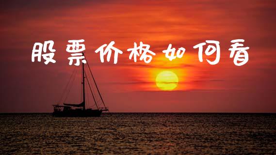 股票价格如何看_https://cj002.lansai.wang_期货问答_第1张