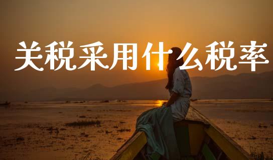 关税采用什么税率_https://cj002.lansai.wang_会计问答_第1张