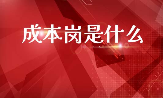 成本岗是什么_https://cj002.lansai.wang_会计问答_第1张