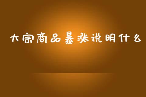 大宗商品暴涨说明什么_https://cj002.lansai.wang_理财问答_第1张