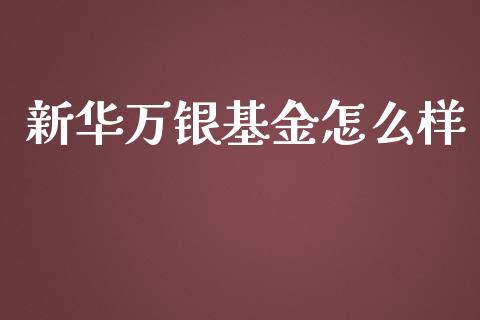 新华万银基金怎么样_https://cj002.lansai.wang_理财问答_第1张