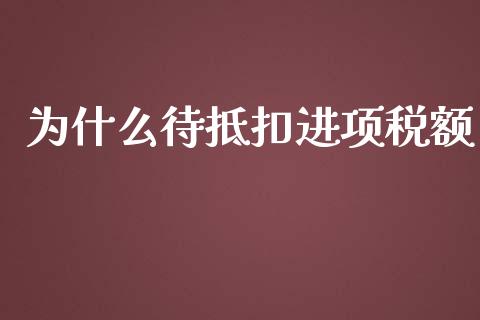 为什么待抵扣进项税额_https://cj002.lansai.wang_会计问答_第1张