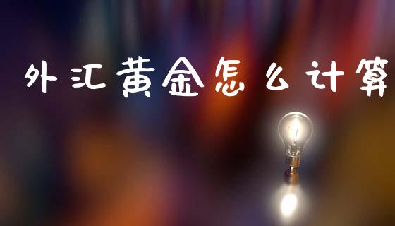 外汇黄金怎么计算_https://cj002.lansai.wang_财经问答_第1张