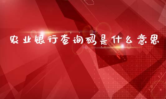 农业银行查询码是什么意思_https://cj002.lansai.wang_金融问答_第1张