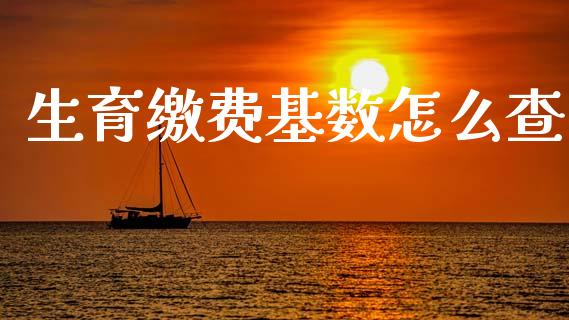 生育缴费基数怎么查_https://cj002.lansai.wang_保险问答_第1张