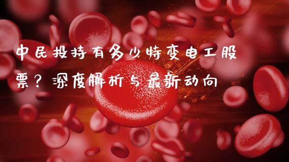 中民投持有多少特变电工股票？深度解析与最新动向_https://cj002.lansai.wang_股市问答_第1张