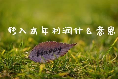 转入本年利润什么意思_https://cj002.lansai.wang_会计问答_第1张