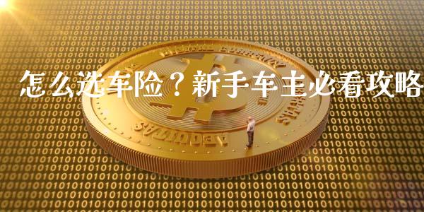 怎么选车险？新手车主必看攻略_https://cj002.lansai.wang_保险问答_第1张