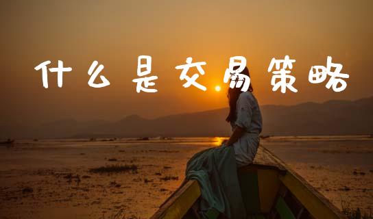 什么是交易策略_理财问答_第1张_财经百问网 什么是交易策略_https://cj002.lansai.wang_理财问答_第1张