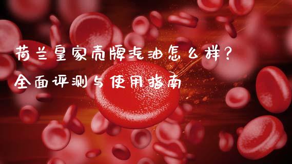 荷兰皇家壳牌汽油怎么样？全面评测与使用指南_https://cj002.lansai.wang_财经问答_第1张
