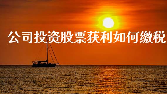 公司投资股票获利如何缴税_https://cj002.lansai.wang_理财问答_第1张