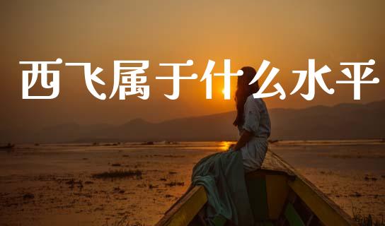 西飞属于什么水平_https://cj002.lansai.wang_金融问答_第1张