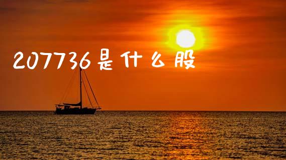 207736是什么股_https://cj002.lansai.wang_理财问答_第1张