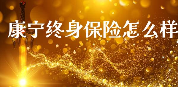 康宁终身保险怎么样_https://cj002.lansai.wang_保险问答_第1张