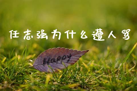 任志强为什么遭人骂_https://cj002.lansai.wang_期货问答_第1张