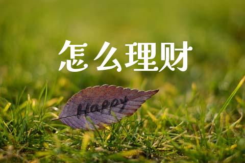 怎么理财_https://cj002.lansai.wang_保险问答_第1张