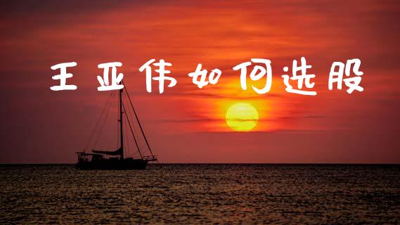 王亚伟如何选股_https://cj002.lansai.wang_财经问答_第1张