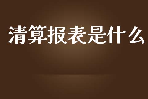 清算报表是什么_https://cj002.lansai.wang_会计问答_第1张