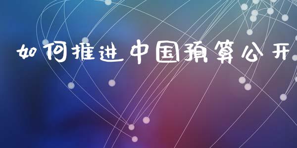 如何推进中国预算公开_https://cj002.lansai.wang_股市问答_第1张